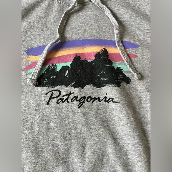 Patagonia Free Hand Fitz Roy Ahnya Hoodie in gray - Picture 7 of 13